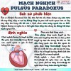 ảnh 1
