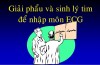 ECG Giải Phẫu - Sinh Lý