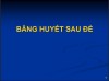 BHSD