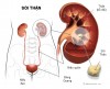 Những khám xét cận lâm sàng thận tiết niệu để phát hiện tổn thương  cơ thể bệnh học