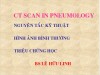 CT GIẢI PHẪU NGỰC