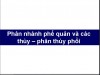 CT GIẢI PHẪU PHÂN THÙY PHỔI