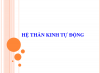 Hệ thần kinh tự động