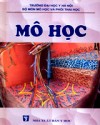 Mô học