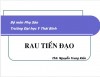 RAU TIỀN ĐẠO