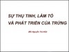 SỰ THỤ TINH VÀ LÀM TỔ CHỦA TRỨNG