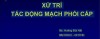Xử trí tắc động mạch phổi cấp