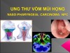 UTVMH