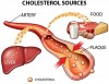 RỐI LOẠN CHỨC NĂNG TRONG CÁC BỆNH MẠCH MÁU