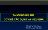 TÁI ĐỒNG BỘ TIM: CƠ CHẾ TÁC DỤNG VÀ HIỆU QUẢ