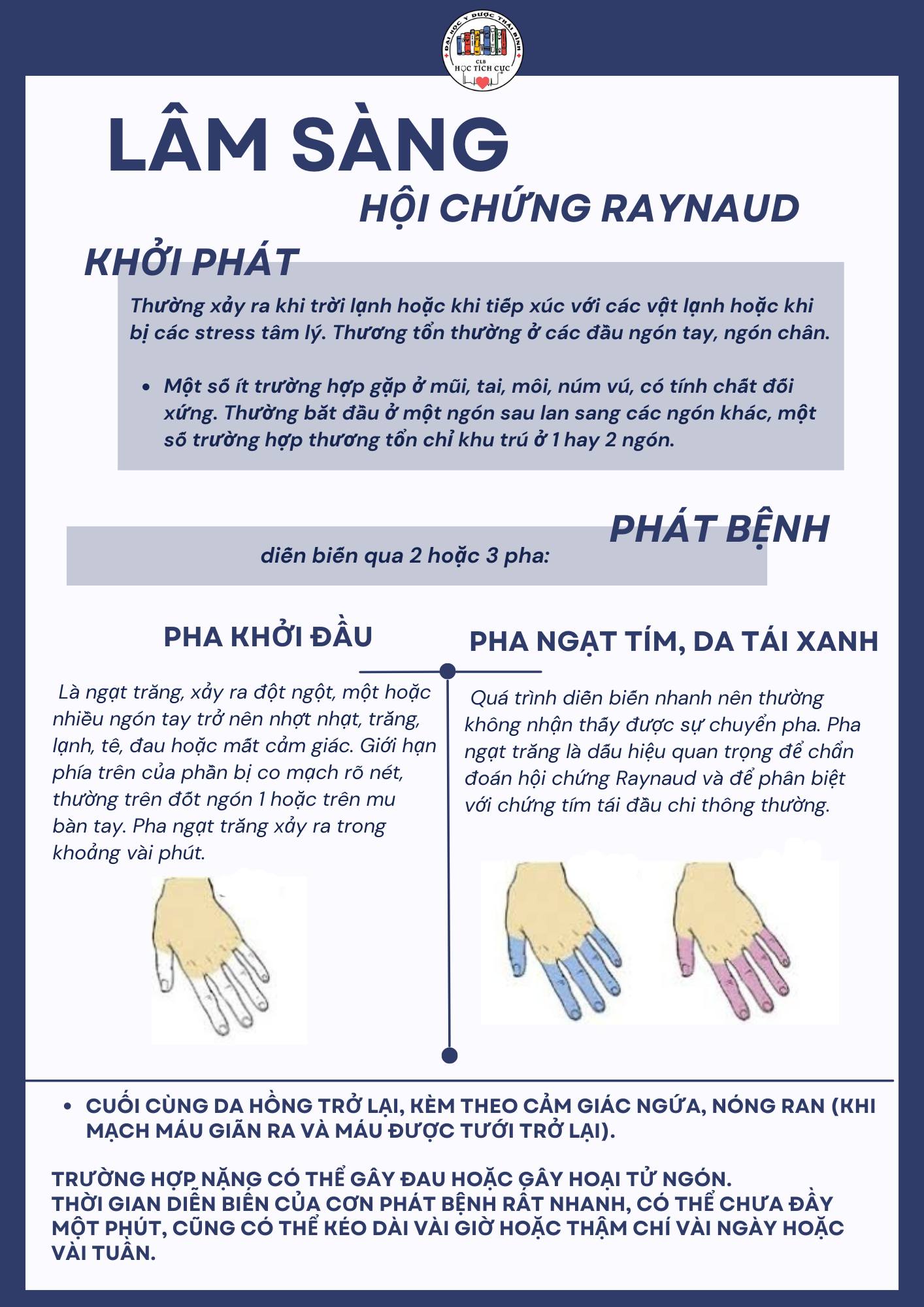 ảnh 4