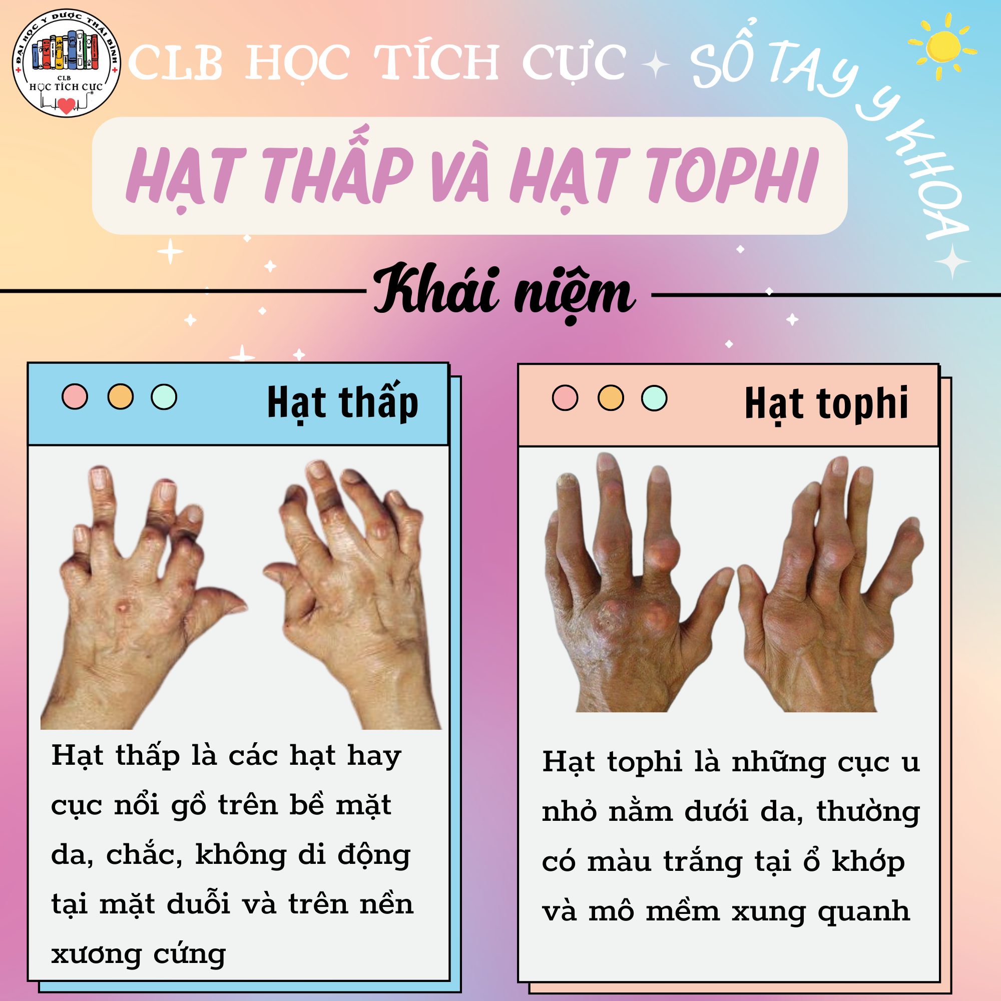 ảnh 1