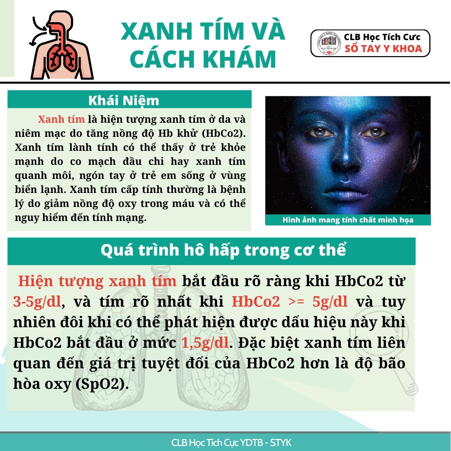 ảnh 1