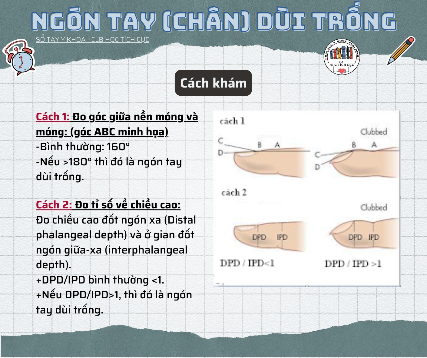 ảnh 2